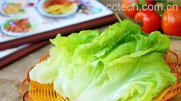 果蔬百科生菜的营养价值及功效-0