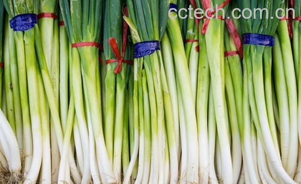 果蔬百科大葱能壮阳吗-0