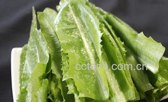 果蔬百科油麦菜的功效与作用-0