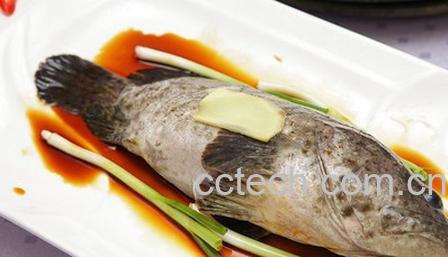 果蔬百科石斑鱼的功效与作用-0