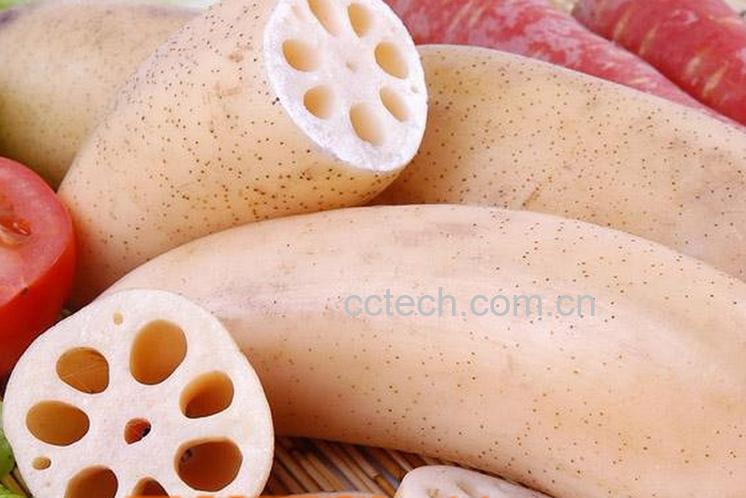 果蔬百科莲藕的功效与作用-0