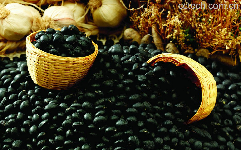 果蔬百科黑豆的营养价值与功效-0