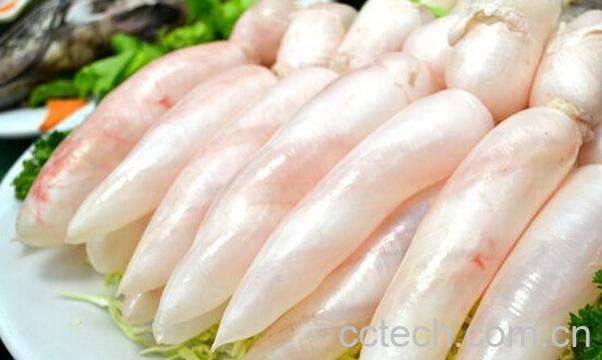 果蔬百科鱼鳔的功效与作用-0