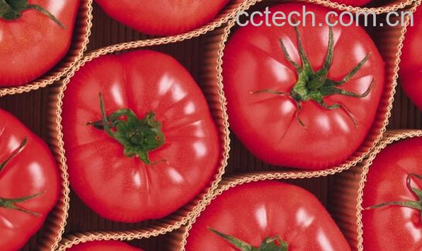 果蔬百科西红柿的营养价值及食用方法-0