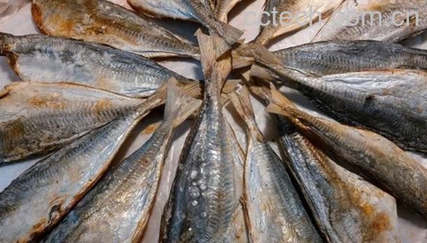 果蔬百科咸鱼的做法大全-0