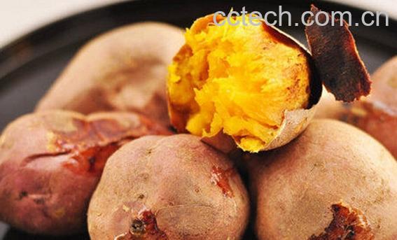 果蔬百科烤地瓜的做法-0