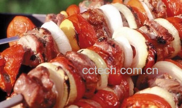 果蔬百科土耳其烤肉-0