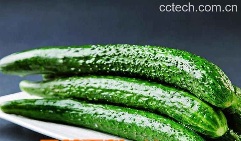 果蔬百科黄瓜的功效与作用-0