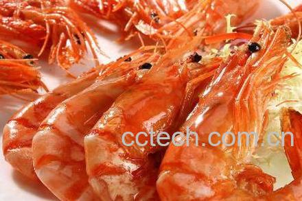 果蔬百科海虾的功效与作用-0