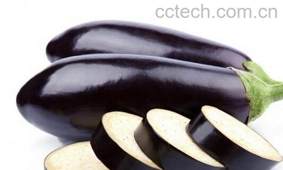 果蔬百科茄子-0