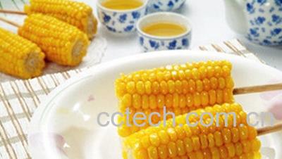 果蔬百科吃玉米会发胖吗-0