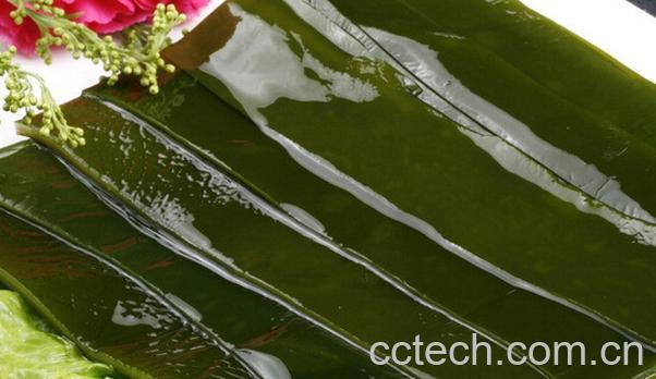 果蔬百科海带的功效与食用禁忌-0