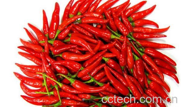 果蔬百科吃辣的好处与坏处-0
