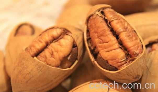 果蔬百科长寿果的功效与作用-0