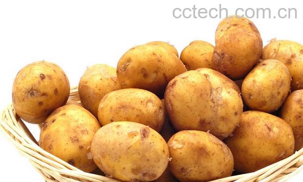 果蔬百科秋天吃土豆有什么好处-0