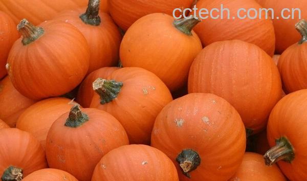 果蔬百科吃南瓜的好处有哪些-0