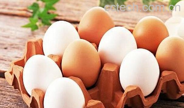 果蔬百科鸡蛋搭配什么最有营养-0