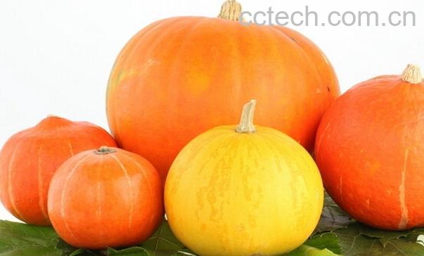 果蔬百科南瓜能治疗哪些疾病-0