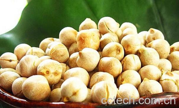 果蔬百科鹰嘴豆怎么吃好-0