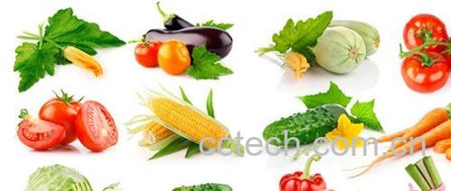 果蔬百科哪些食物含铁高-0