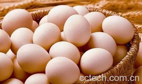 果蔬百科咳嗽能吃鸡蛋吗-0