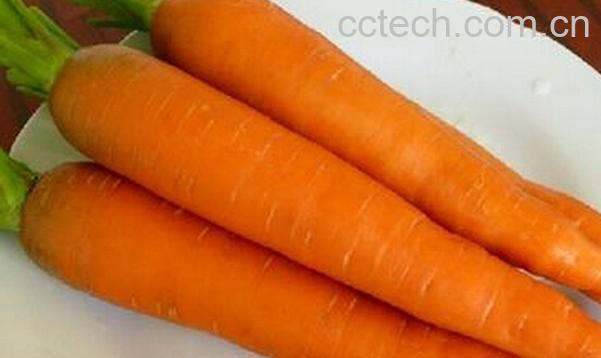 果蔬百科胡萝卜怎么吃好-0
