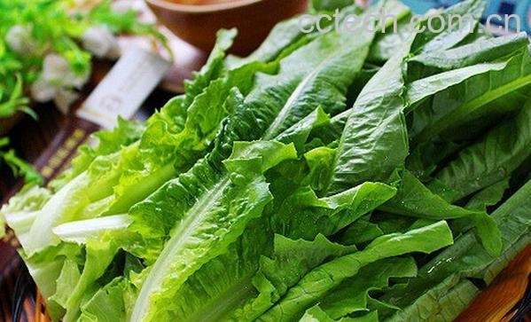 果蔬百科如何挑选油麦菜-0