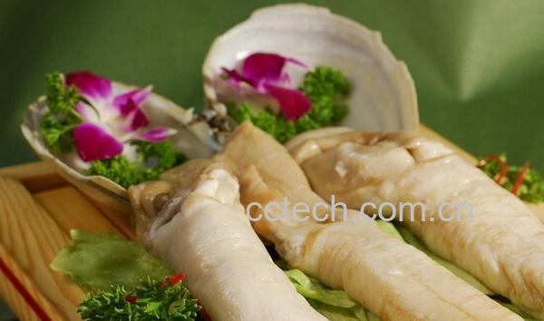 果蔬百科象拔蚌的功效与作用-0