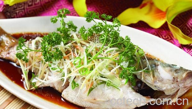 果蔬百科鲈鱼的功效-0