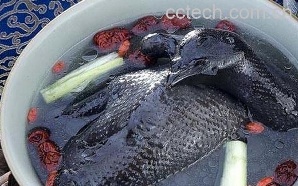 果蔬百科乌鸡汤怎么做好喝-0