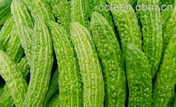 果蔬百科什么食物能去湿-0