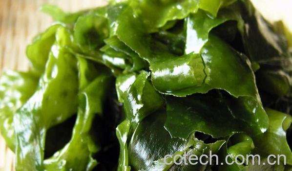 果蔬百科女性体寒吃什么好-0