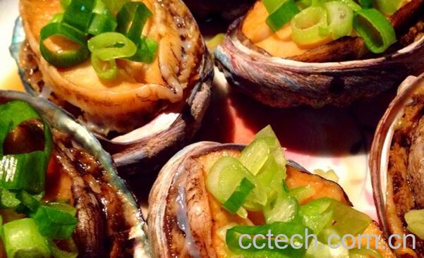 果蔬百科鲍鱼怎么吃好-0