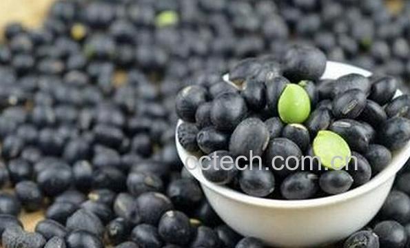 果蔬百科绿芯黑豆的功效与作用-0