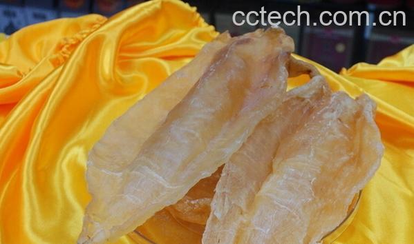 果蔬百科鱼胶是什么-0