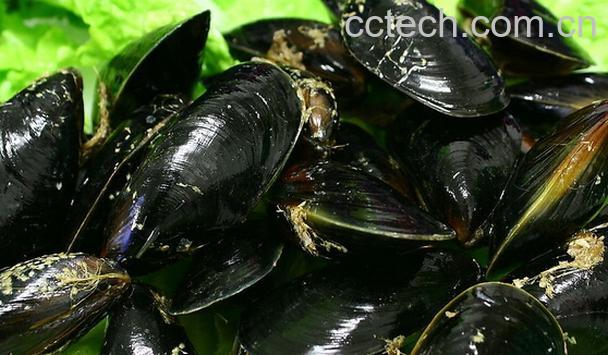 果蔬百科淡菜怎么洗才干净-0