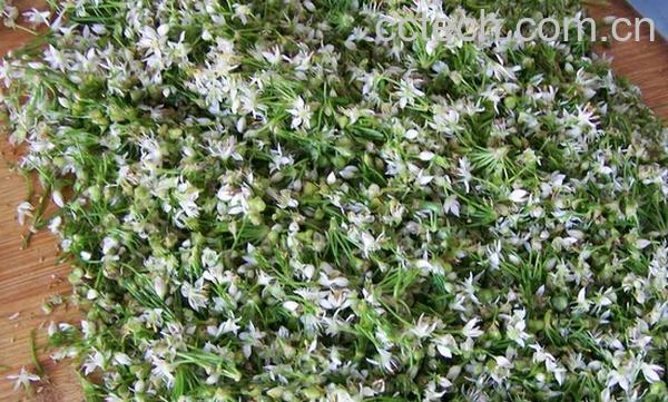 果蔬百科韭菜花怎么吃好-0