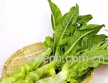 果蔬百科莴笋的家常做法大全-0