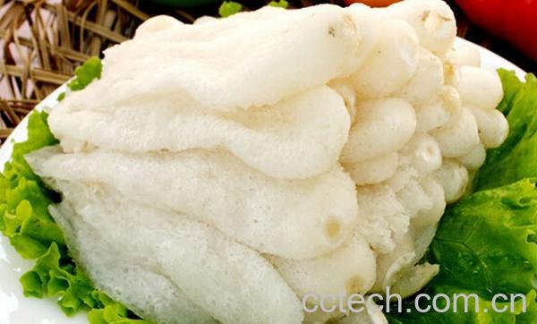 果蔬百科竹荪的功效与作用-0