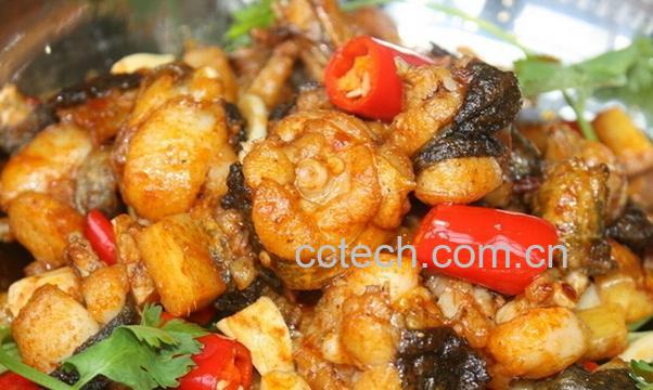 果蔬百科牛蛙的功效与作用-0