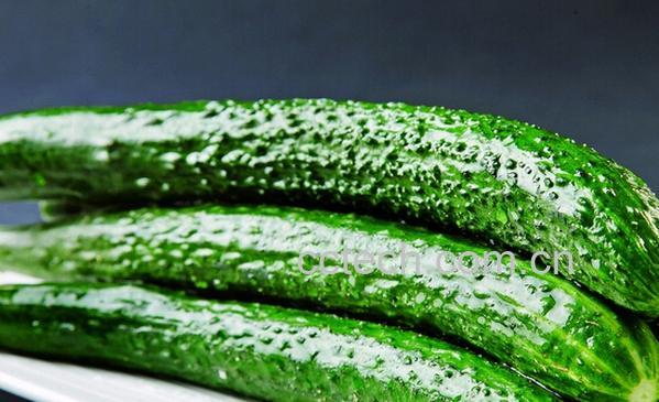 果蔬百科每天吃黄瓜有什么好处-0