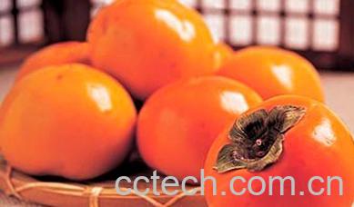 果蔬百科吃柿子的禁忌有哪些-0