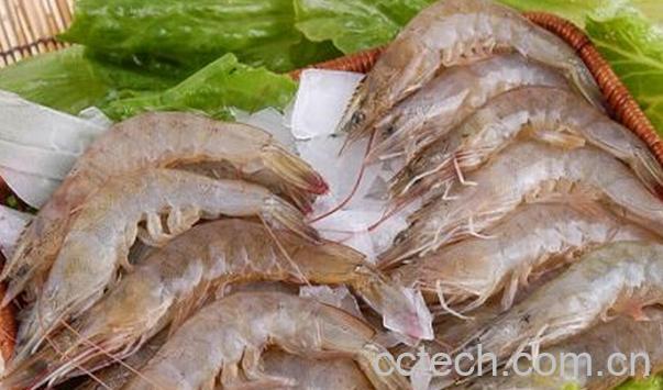 果蔬百科吃虾不能吃什么-0