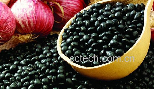 果蔬百科黑豆怎么吃最好-0