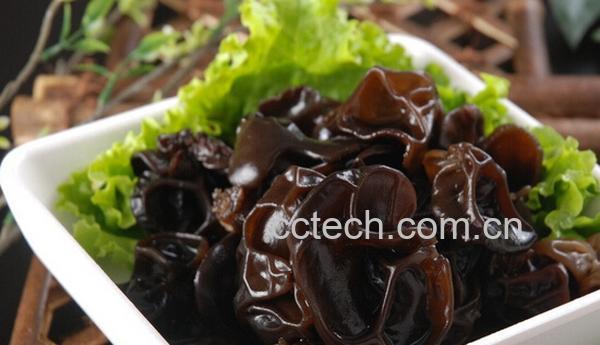 果蔬百科怎么吃黑木耳最科学-0