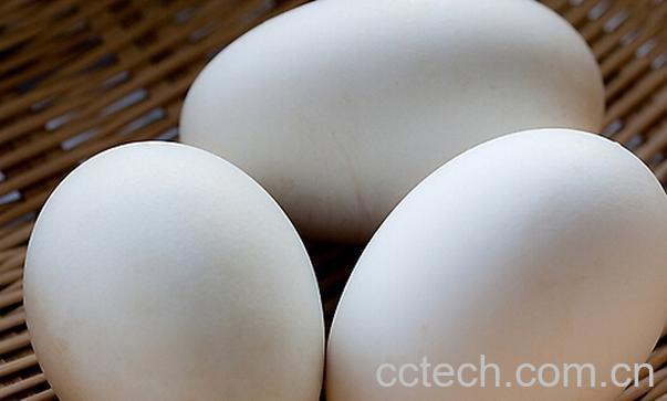 果蔬百科孕妇吃鹅蛋的好处-0