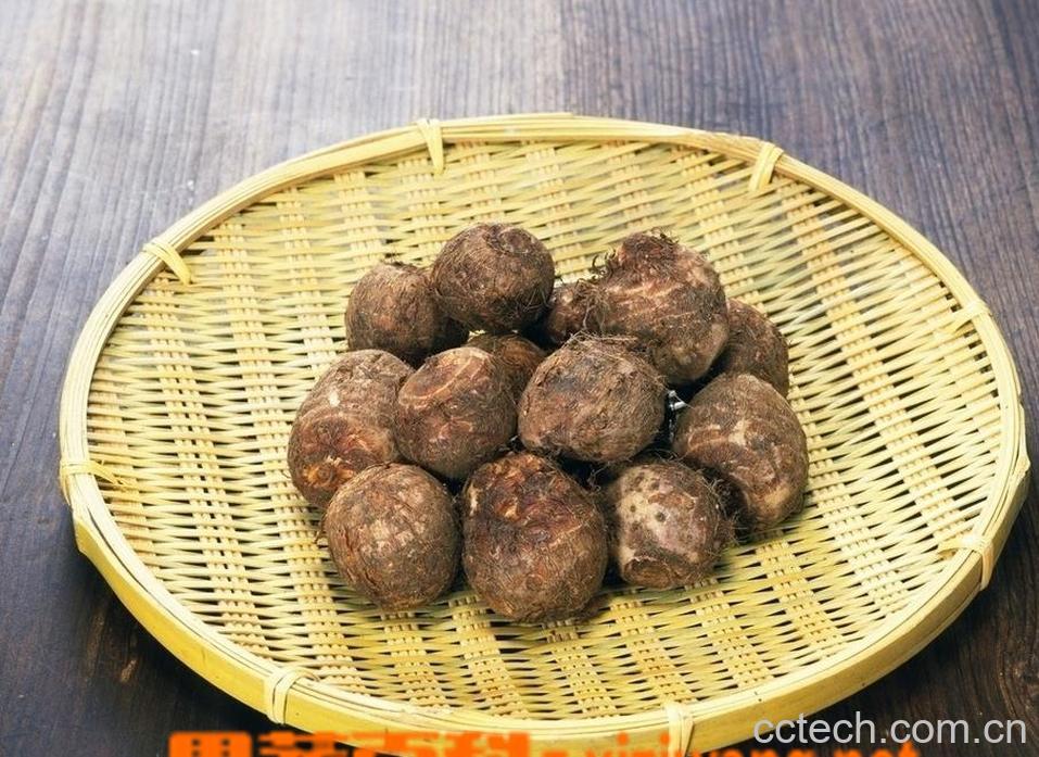 果蔬百科芋头怎么做好吃-0