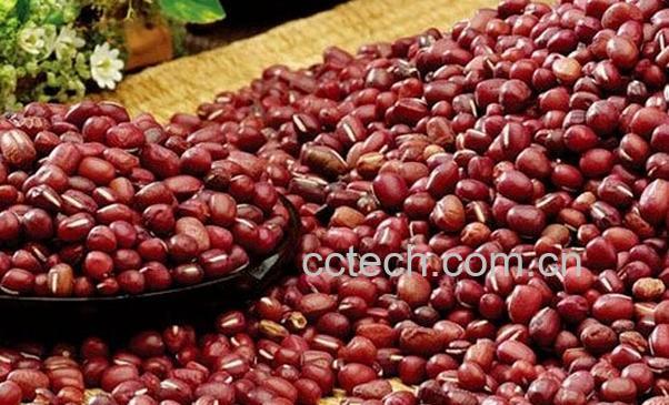 果蔬百科赤豆的功效与作用-0