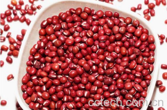 果蔬百科红小豆的营养价值-0