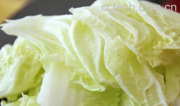 果蔬百科白菜属于什么科的蔬菜-0